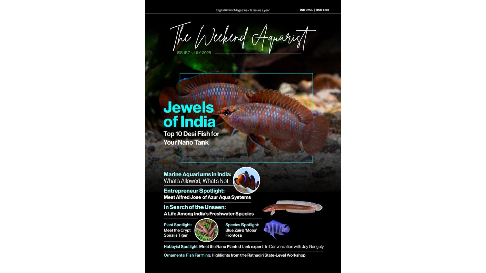 The Weekend Aquarist Releases Its 7th Issue — Available on Magzter and in Print Across India